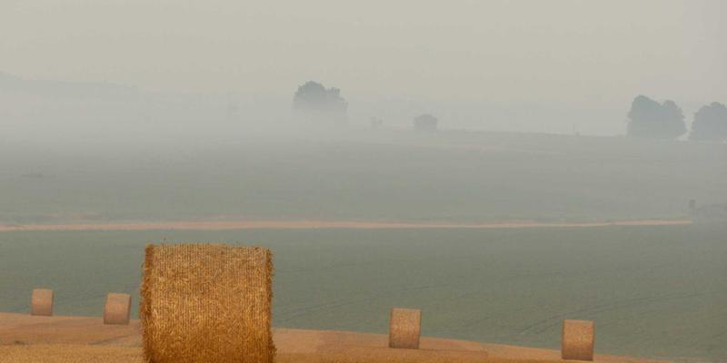 التوصيل في المناسبات: أعياد الميلاد والمناسبات الخاصة